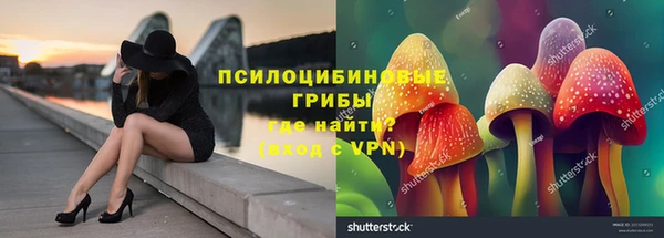 гидропоника Гусев