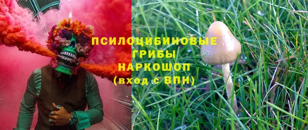 молекула духа Гусь-Хрустальный