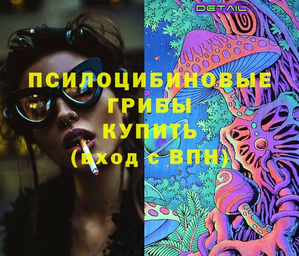 гидропоника Гусев