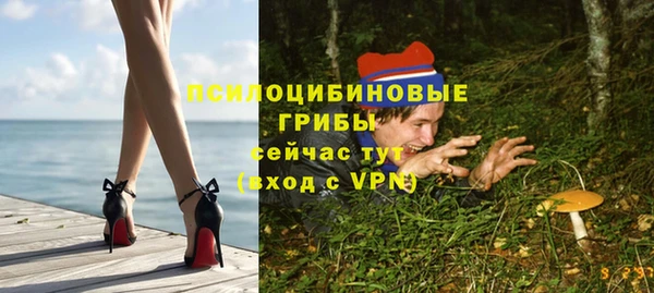 молекула духа Гусь-Хрустальный