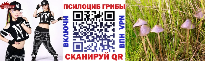 Галлюциногенные грибы Magic Shrooms  ОМГ ОМГ tor  Чапаевск 