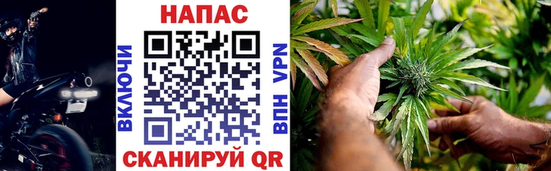 Шишки марихуана SATIVA & INDICA Чапаевск